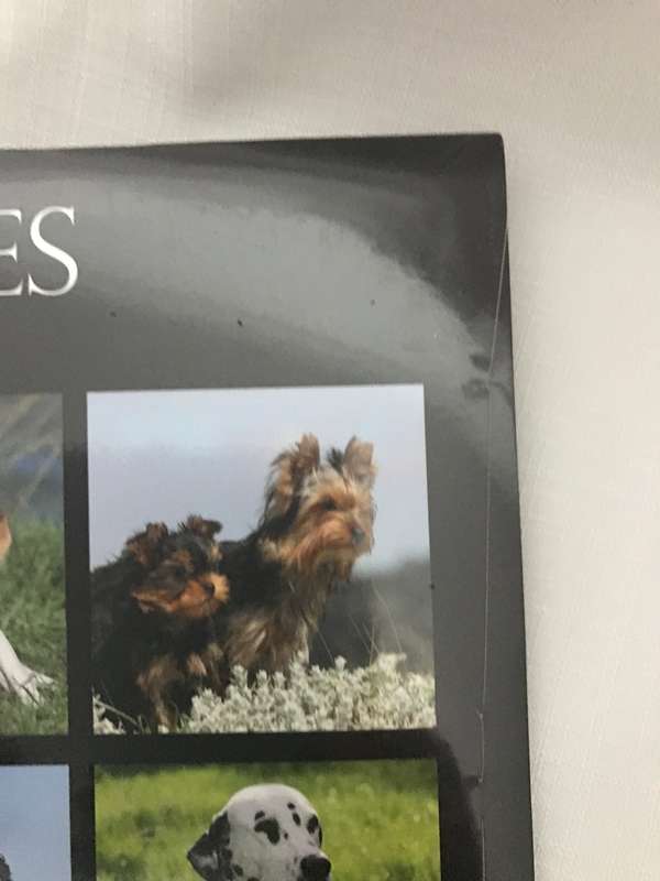 Dogs and Puppies calendar 2023 Sealed New