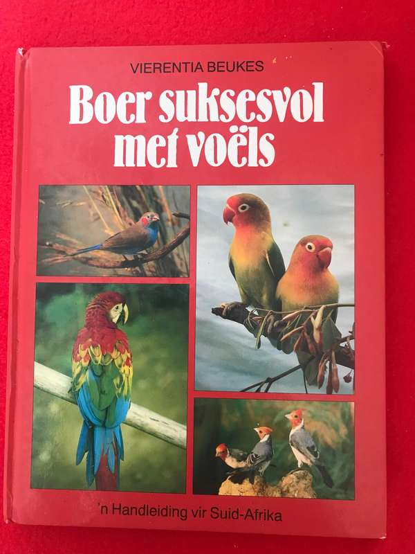BOER SUKSESVOL MET VOELS - VIERENTIA BEUKES