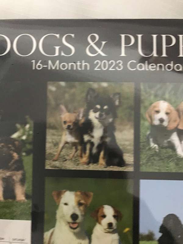 Dogs and Puppies calendar 2023 Sealed New