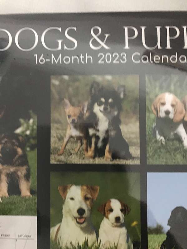 Dogs and Puppies calendar 2023 Sealed New
