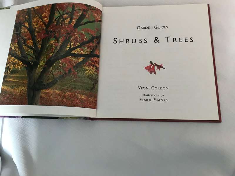 Shrubs and Trees