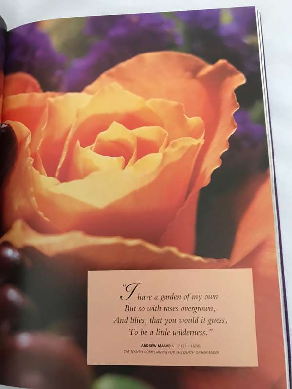 The contemporary flower  arrangement A fresh new approach to creating glorious displays 208 pages