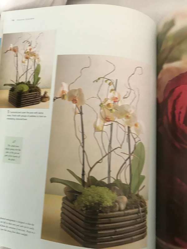The contemporary flower  arrangement A fresh new approach to creating glorious displays 208 pages