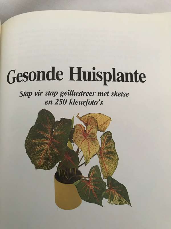 Gesonde Huisplante stap vir stap geillustreer 250 kleur fotos David Longman