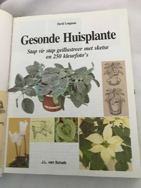 Gesonde Huisplante stap vir stap geillustreer 250 kleur fotos David Longman