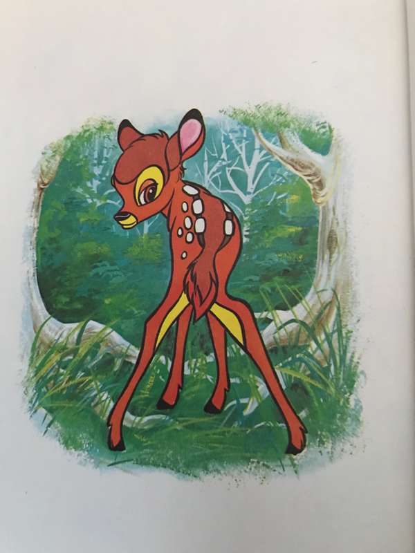 Walt Disney Story a Day Spring