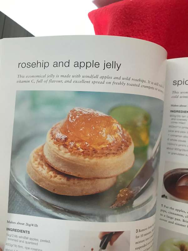 The Complete Book of Preserves & Pickles: Jams, jellies, chutneys & relishes and two cookbooks