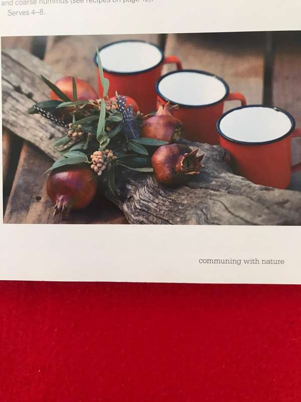 South African Game Cookbook Rina Pont & Outdoor food