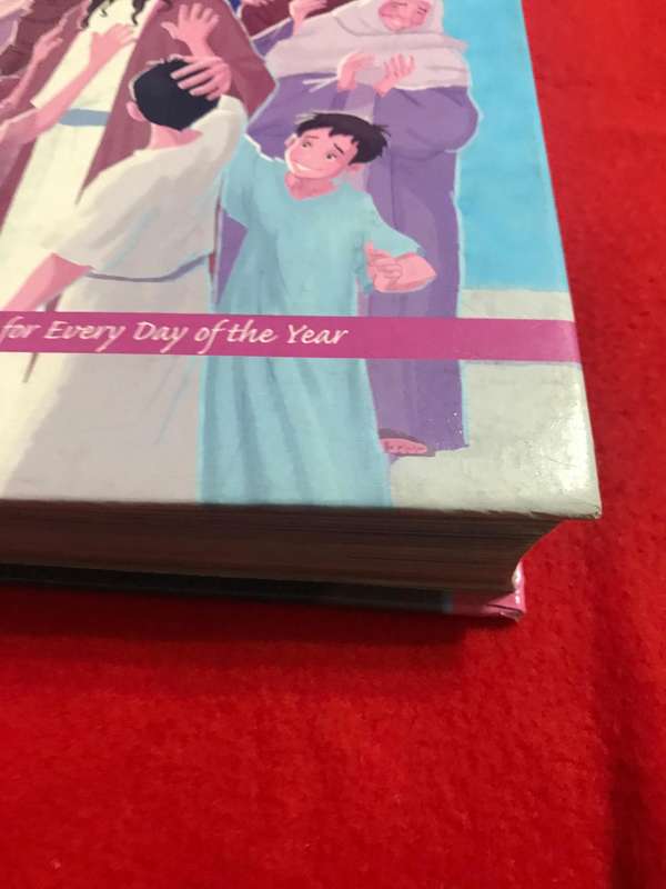 The 365 day childrens Bible storybook