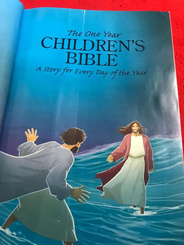 The 365 day childrens Bible storybook