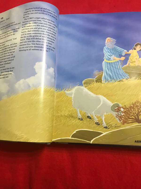 The 365 day childrens Bible storybook