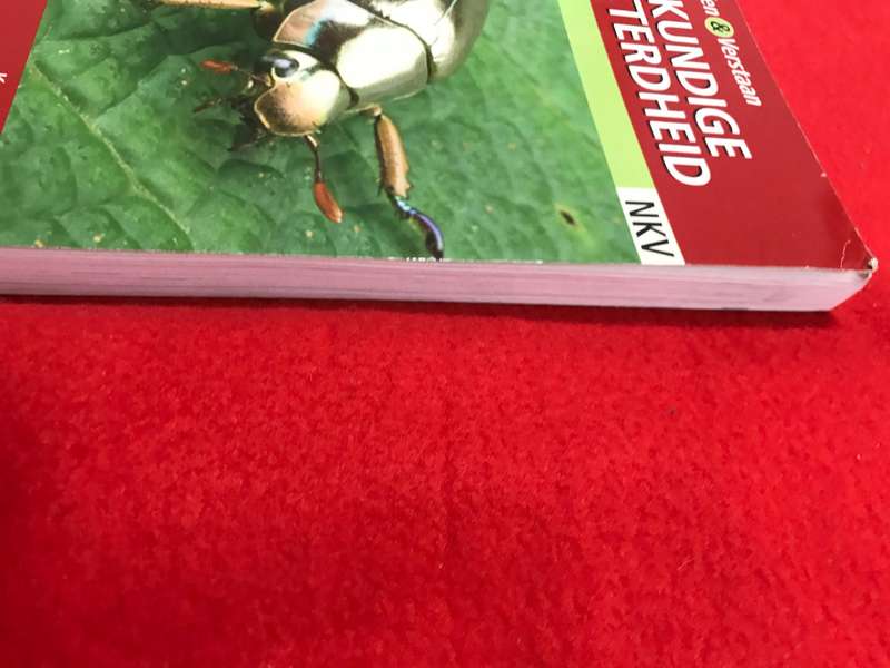 Graad 11 Wiskundige geletterdheid Leerdersboek