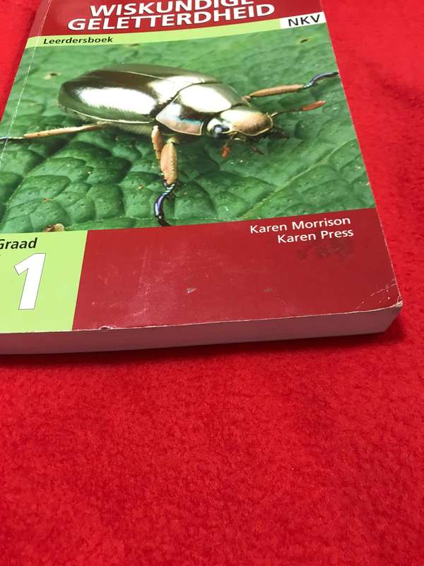 Graad 11 Wiskundige geletterdheid Leerdersboek