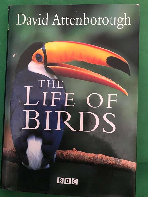 The Life of Birds David Attenboroug BBC