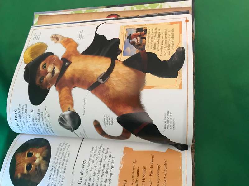 Shrek Book and DVD