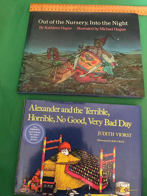 Childrens hard cover books x 2