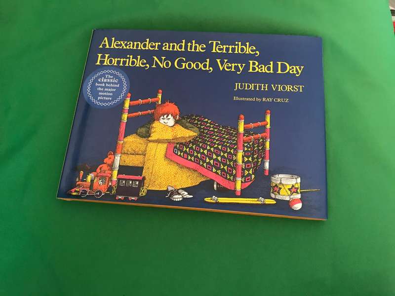 Childrens hard cover books x 2