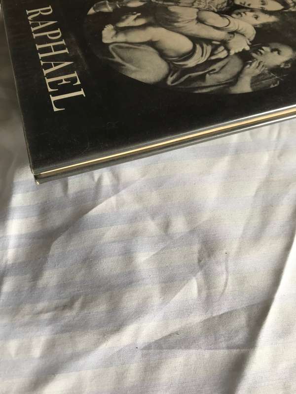 Raphael a biography by Elizabeth Ripley