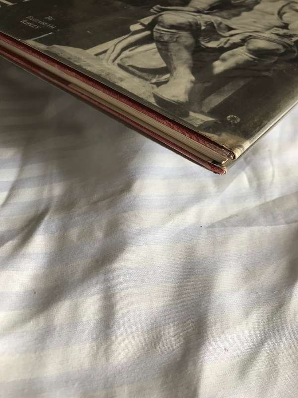 Michael Angelo a Biography by Elizabeth Ripley