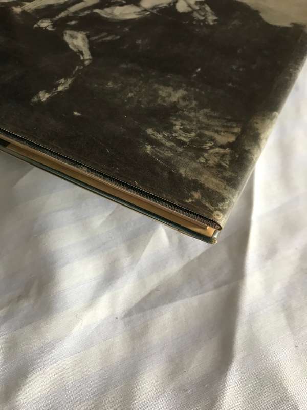 Rembrandt a Biography by Elizabeth Ripley