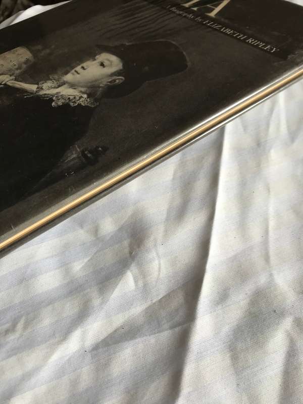 GOYA a Biography by Elizabeth Ripley