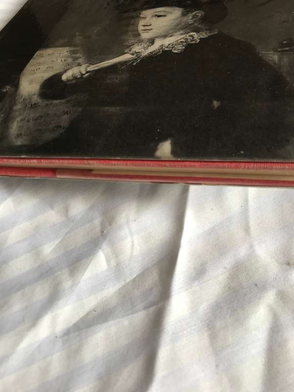 GOYA a Biography by Elizabeth Ripley