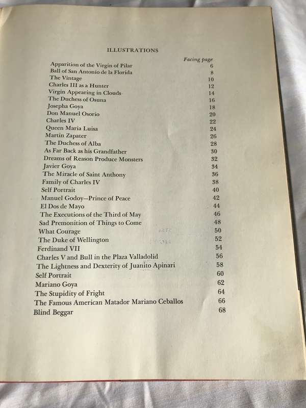 GOYA a Biography by Elizabeth Ripley