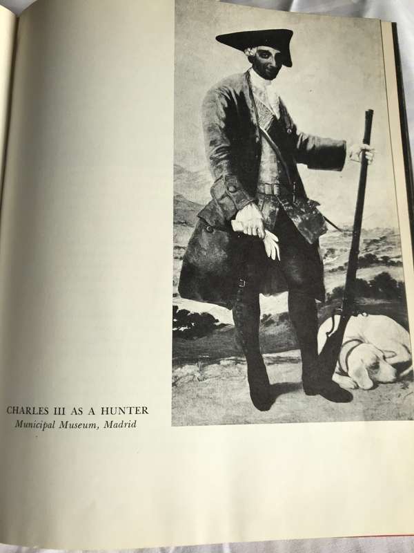 GOYA a Biography by Elizabeth Ripley
