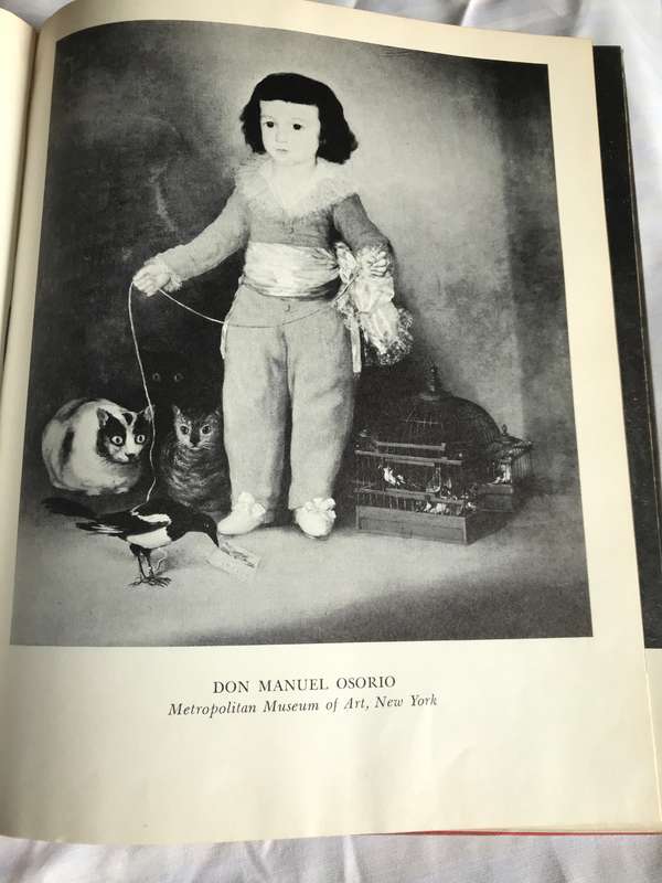 GOYA a Biography by Elizabeth Ripley