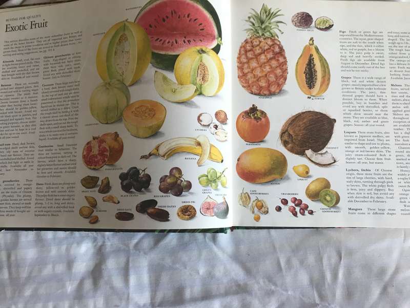 The Cookery Year