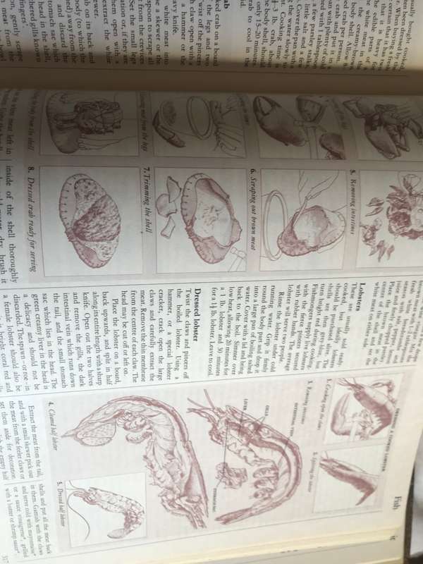 The Cookery Year