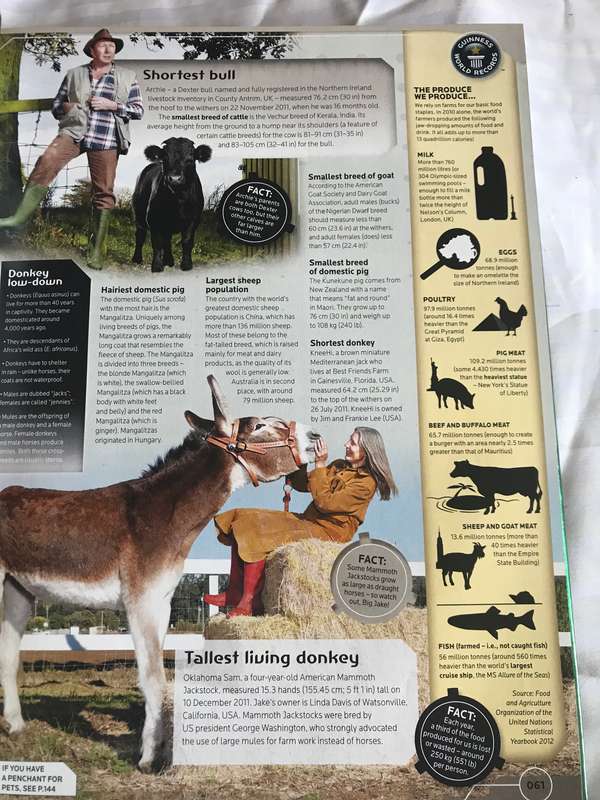 Guinness World  Records 2013