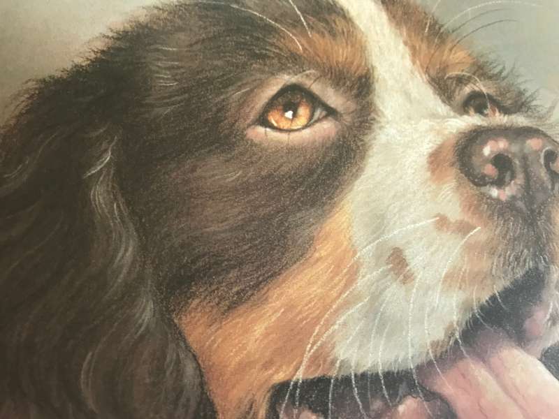 Loyal Companions Roy Victor Harding hardcover