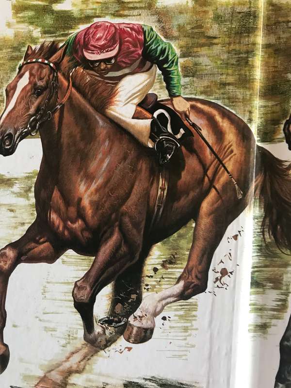 Great Horses  Champions of the turf and Internationally famous race courses