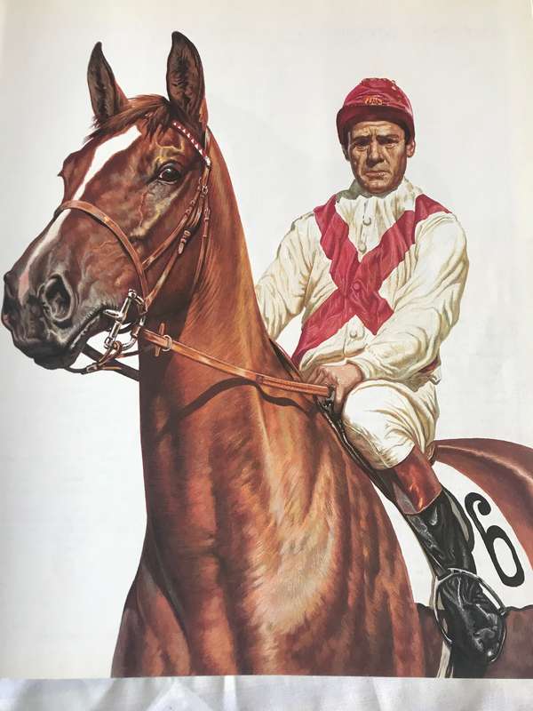 Great Horses  Champions of the turf and Internationally famous race courses