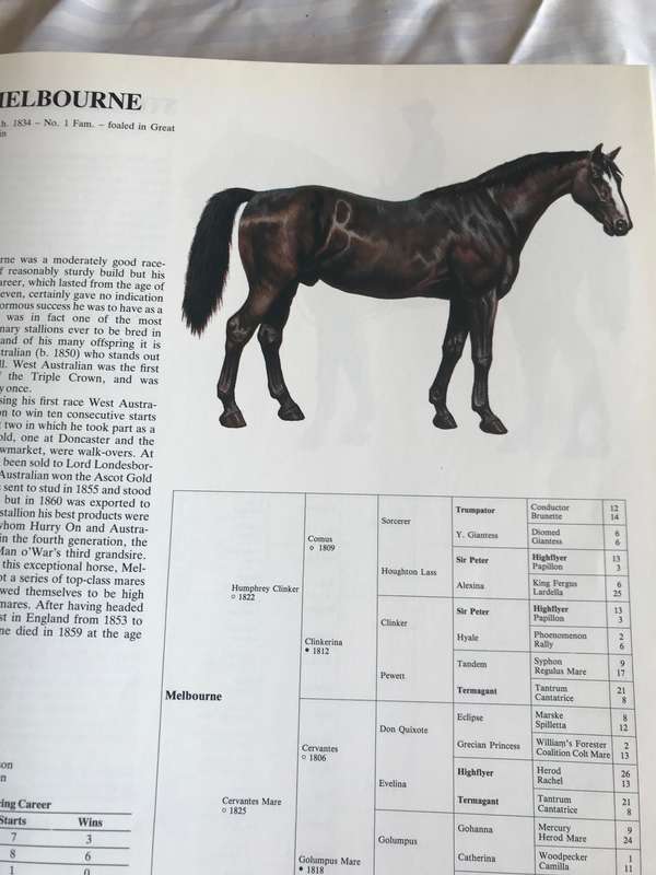 Great Horses  Champions of the turf and Internationally famous race courses