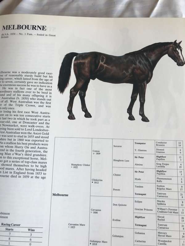 Great Horses  Champions of the turf and Internationally famous race courses