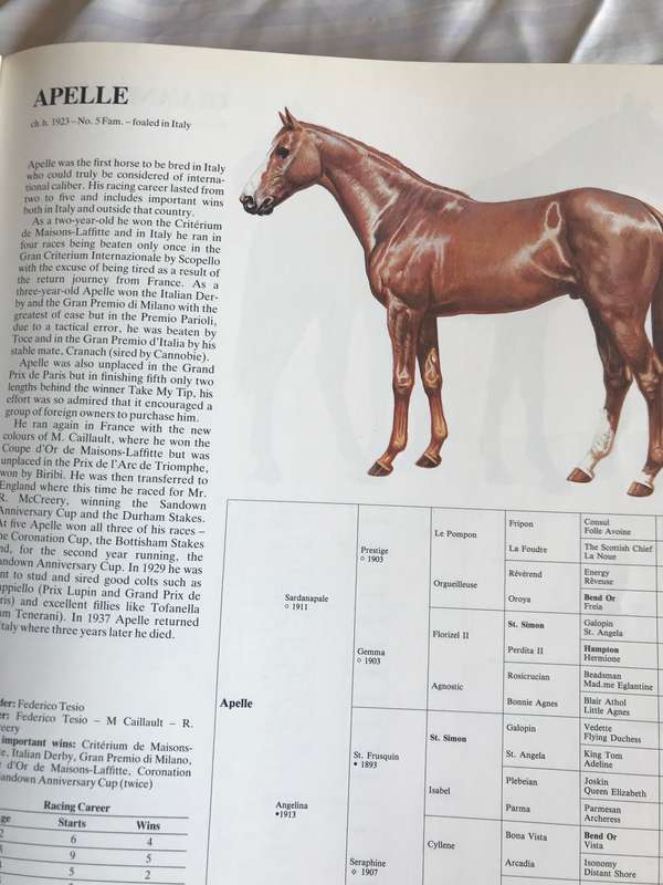 Great Horses  Champions of the turf and Internationally famous race courses