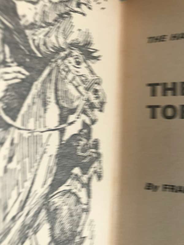 The Flickering Torch Mystery Franklin W.Dixon hardcover
