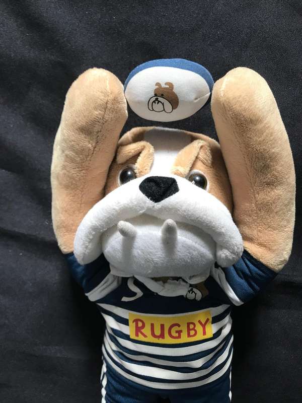 W.P Rugby Lot