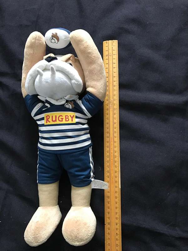 W.P Rugby Lot