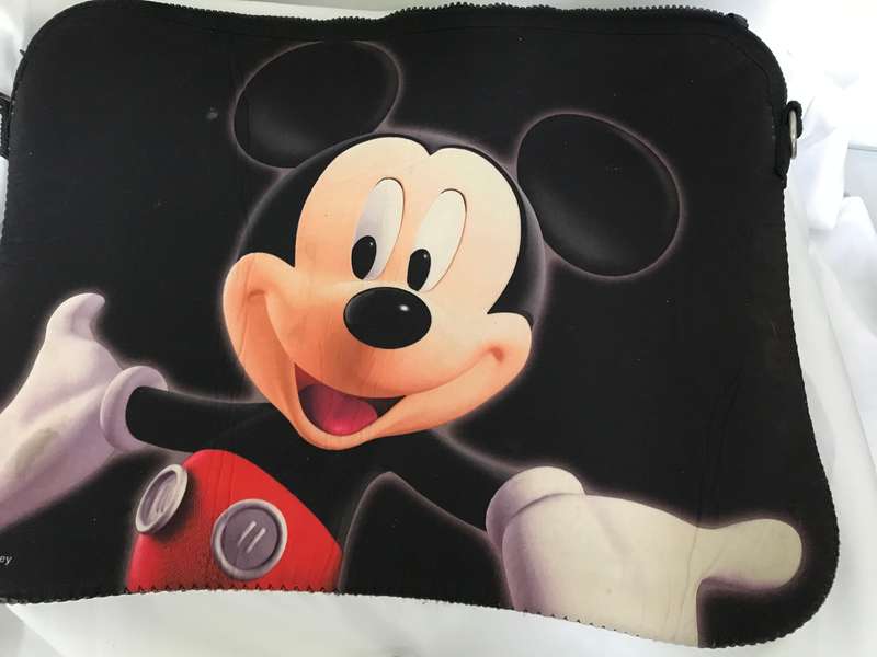 Disney sleeve case