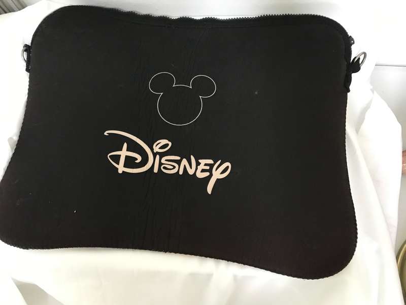 Disney sleeve case