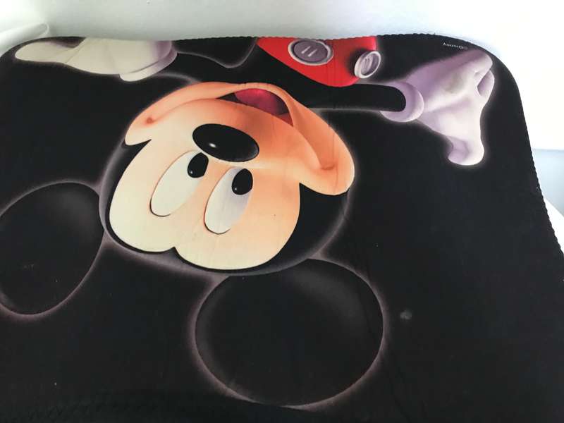 Disney sleeve case