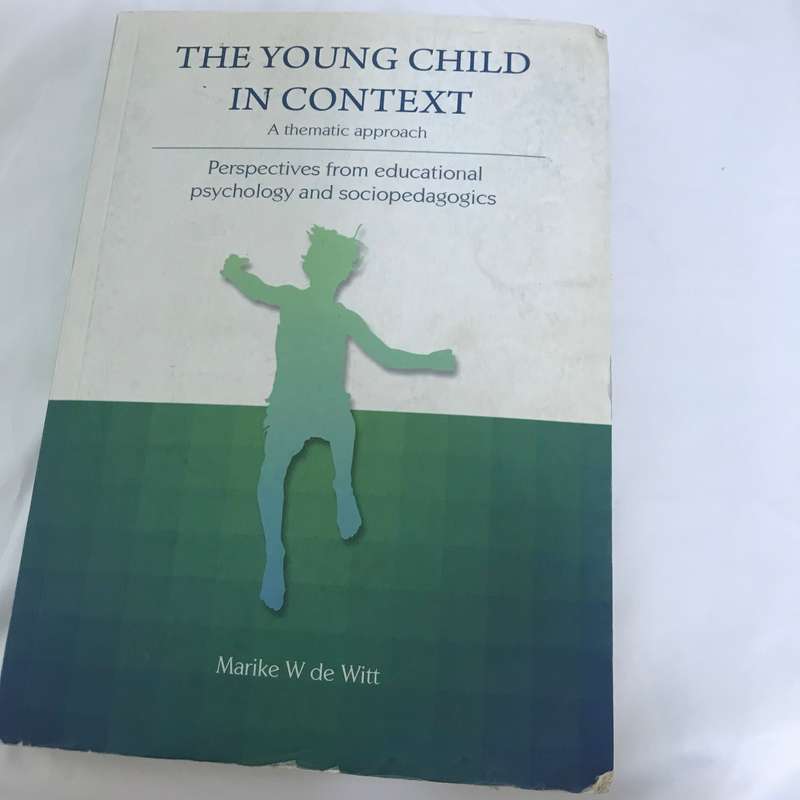 The young child in context Marike W de Witt