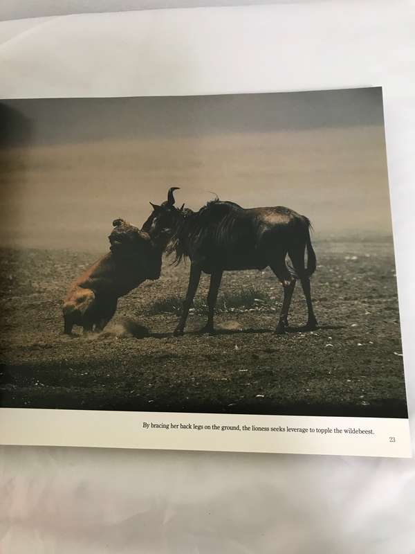 Serengeti by Mitsuaki Iwago