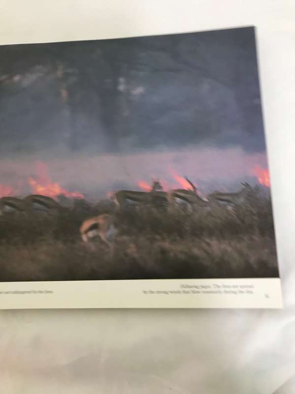 Serengeti by Mitsuaki Iwago