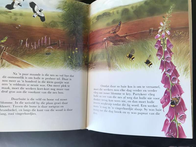 Natuurbiblioteek 5 boeke