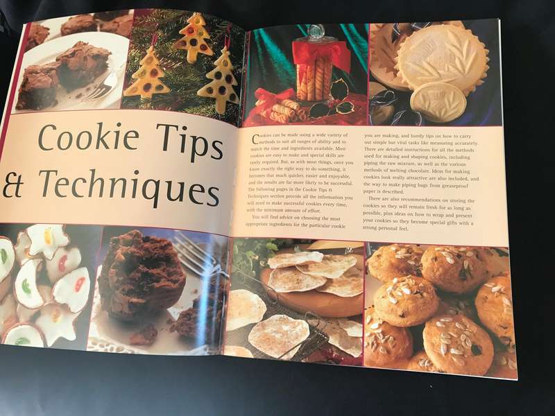 The Great Big Cookie Book: Over 200 Recipes for Cookies, Brownies, Scones, Bars and Biscuit hardcove