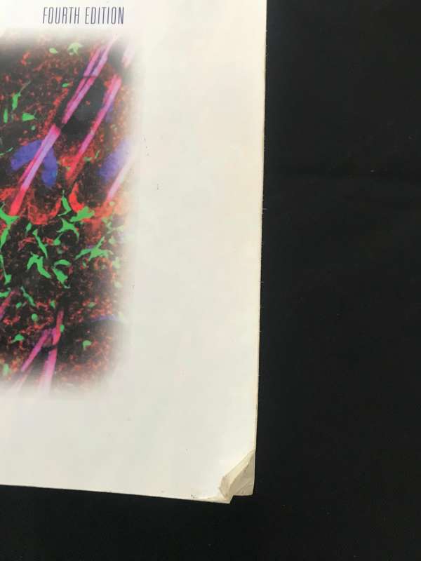 Basic Immunology: Functions and Disorders of the Immune System - Softcover Abbas, Abul K., Lichtman,